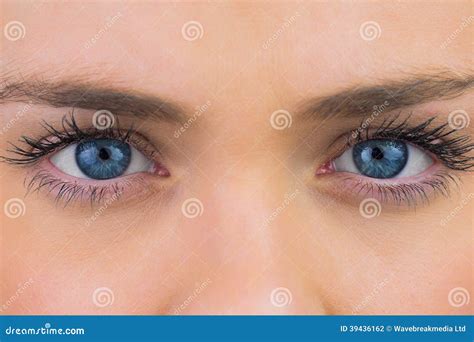 Close Up Of Female Blue Eyes Stock Photo Image 39436162