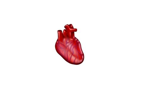 Anatomical Heart Lungs Emojis Approved For 2020 Release