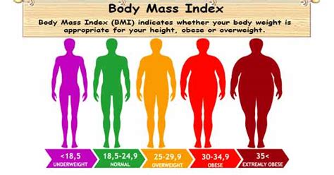 Body Mass Index Calculator Bmi Normal Underweight Obese Overweight