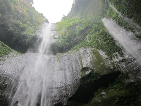 This attraction can only be seen in indonesia and in particular banyuwangi, east java. Madakaripura Waterfall (Probolinggo) - 2018 All You Need to Know Before You Go (with Photos ...