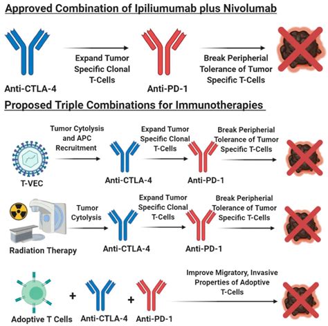 Ijms Free Full Text Overcoming Immune Evasion In Melanoma