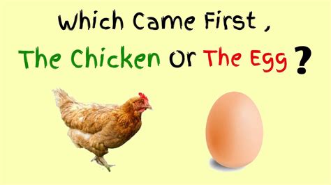 Which Came First Chicken Or Egg Ias Interview Questions General