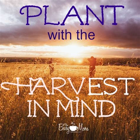 Plant With The Harvest In Mind Heidi St John