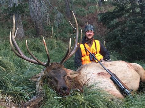 Elk Hunting Whitetail Mountain Outfitters