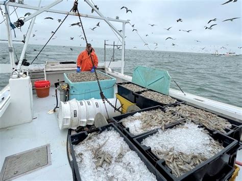 A Shifting Climate May Be Bringing A New Commercial Fishery To The Mid
