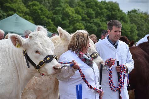 Livestock 065 Alyth Agricultural Show 2019 John Mullin Flickr