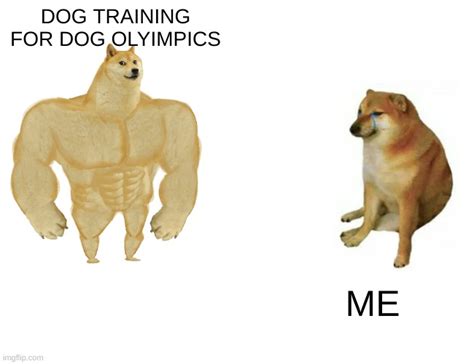 Doggo Meme Imgflip