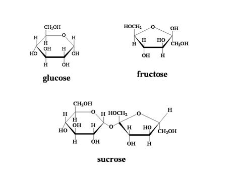 Sugar Glucose Sucrose Fructose 20