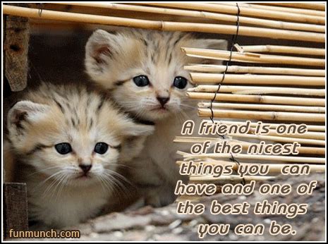 Instead of being my deliverance, she had a strange resemblance. Two Cats - Free Friendship Poems And Quotes Ecards and Friendship Poems And Quotes Greetings ...