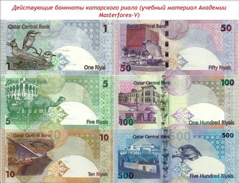 Катарский риал - валюта Катара глазами трейдеров Masterforex-V