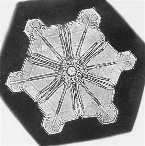 Earliest Snowflake Photos From 1885 The Picture Show Npr