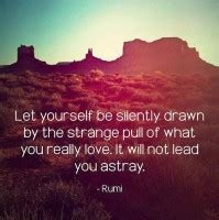 Discover and share rumi birthday quotes. Rumi Birthday Quotes. QuotesGram