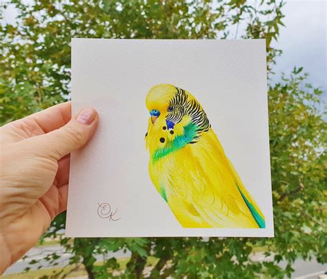 Yellow And Green Budgerigar Painting Parakeet Watercolour Etsy