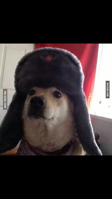 Soviet Doggo Is Good Doggo Rarepuppers