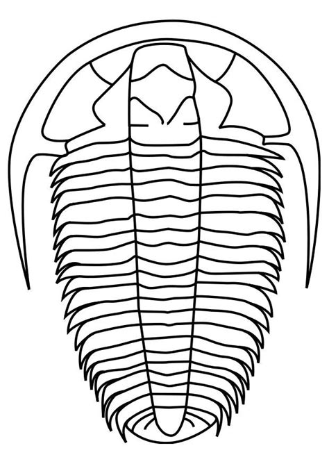 You can use our amazing online tool to color and edit the following full size coloring pages for adults. Coloring Page trilobite - free printable coloring pages ...