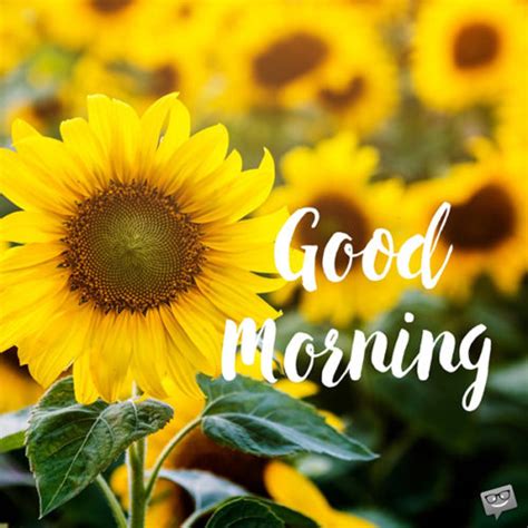 These animated good morning images are best for sharing and wishing your near and dearones. Good Morning Images, Awesome Good Morning Images, #35149