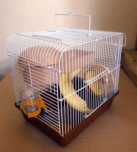 Hamster picture 835 1000 jpg / hamster picture 835 1000 jpg : Hamster Picture 835 1000 Jpg / 2 hamsters + hamster wheel + bottle for only 1000 for Sale in ...