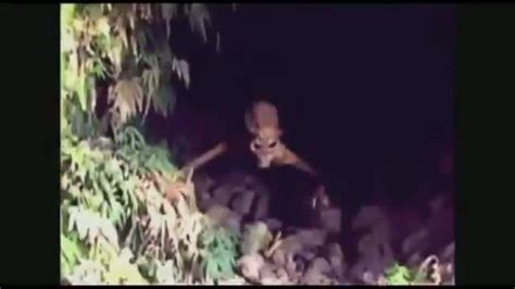 12 Paranormal Sightings Caught On Camera Creepy Gallery Ebaums World
