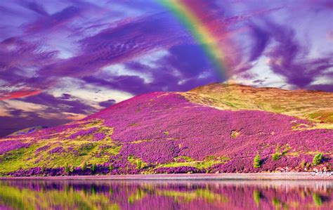 Colorful Landscape Scenery Of Rainbow Over Hill Slope Covered By