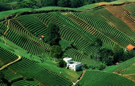 Tak Cuma Desa Mati yang Viral Intip 7 Tempat Wisata Alam 