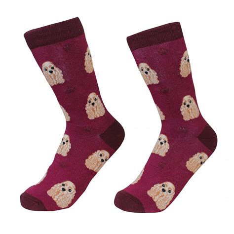 Plan your dream bathroom from the ground up with our easy to use 3d planner. Dog Socks Cocker Spaniel | Dog breed socks, Dog socks, Dog ...