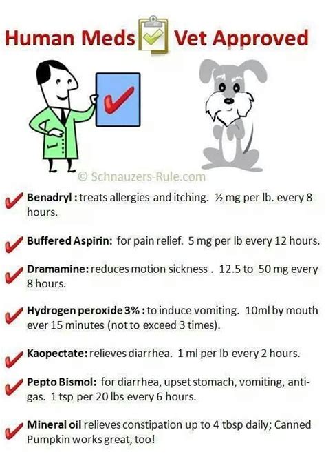 Human Meds Safe For Pets Add Ibuprofen To The List Too Meds For