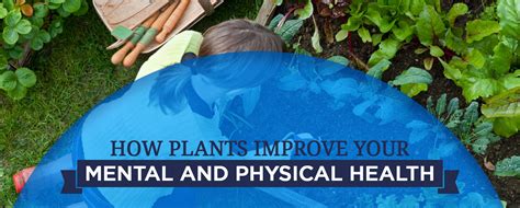 Psychological Benefits Of Plants And Horticulture Therapy