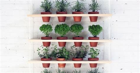 24 Indoor Herb Garden Ideas To Look For Inspiration