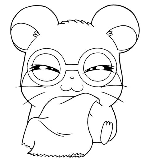 Hamster Coloring Pages For Kids Coloring Pages