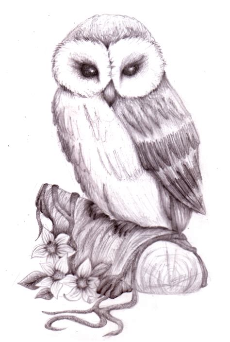 Owl Pencil Sketch By Natzs101 On Deviantart