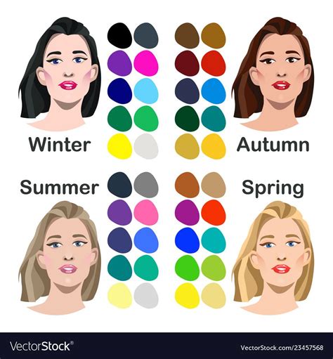 Seasonal Color Analysis Royalty Free Vector Image Colors For Skin Tone Seasonal Color