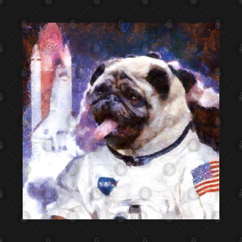 Astronaut Pug Astronaut T T Shirt Teepublic