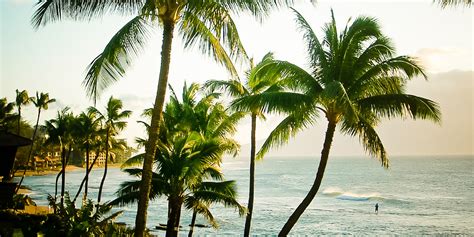 12 Healthy Habits The World Can Learn From Hawaii Locals Huffpost