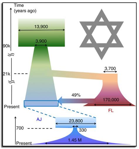 Exponential Growth Of Ashkenazi Jews Following A Medieval Population
