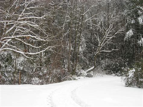 Snow Storm Headed To Western Nc Asheville Lenoir