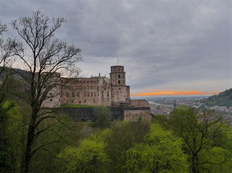 Heidelberg Neckar Castle Free Image Download