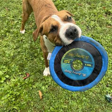 White Oak Animal Safe Haven