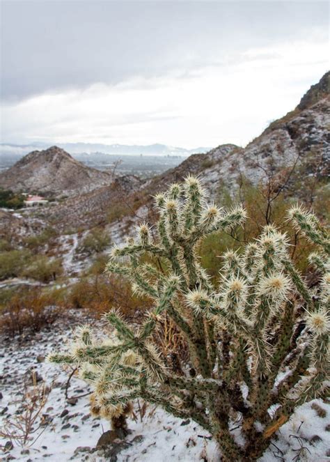 Snow In Phoenix Arizona Southwest Adventure Journal