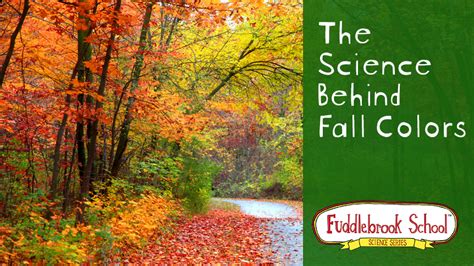 The Science Behind Fall Colors Fuddlebrook Science Blog