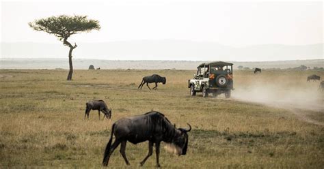 Maasai Mara National Reserve Fees Kenya Safari Tours