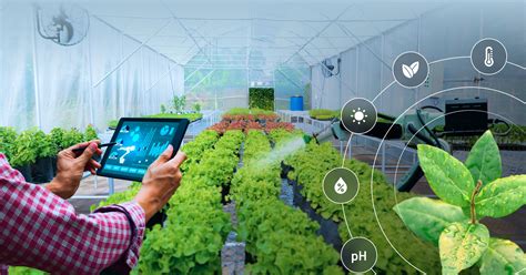 How Iot And Ai Reforming The Agriculture Sector