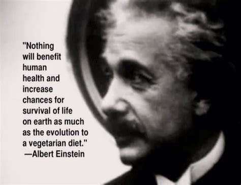 Vegan Diet Quote By Albert Einstein | Vegan lifestyle ...