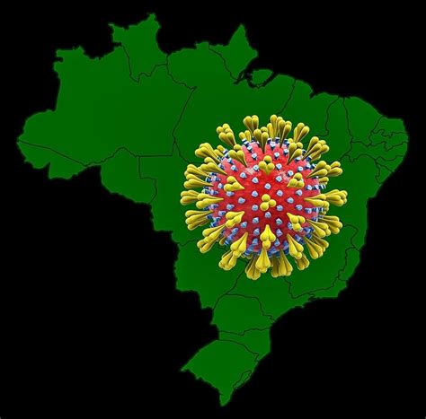 Seek medical attention if you have reason to believe you have been exposed to coronavirus or influenza. Que Produtos de Limpeza MATAM o Coronavírus?
