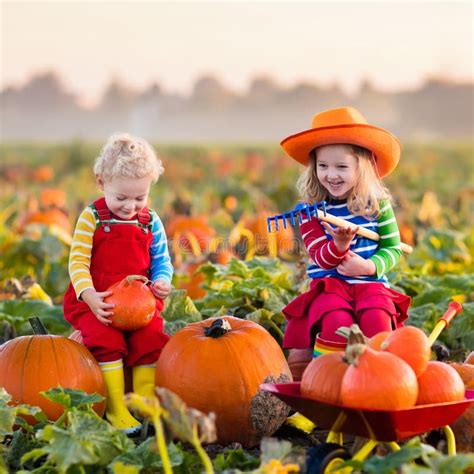 Kids Picking Pumpkins On Halloween Pumpkin Patch Stock Photo Image Of