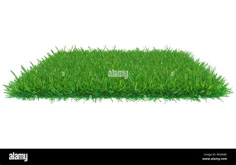 3d Rendering Of A Green Grass Patch Isolated On White Background For
