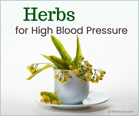 Herbs For High Blood Pressure Strategies To Help Regulate It Naturally