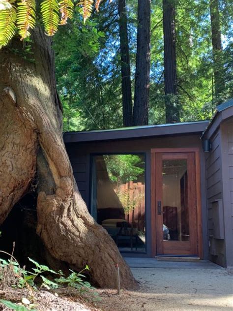 Redwood Cabin Mountain View Glen Oaks Big Sur