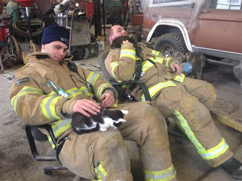 Photos Kittens Rescued From The Rubble Of A Winooski Fire Kitten Rescue Kittens Firefighter