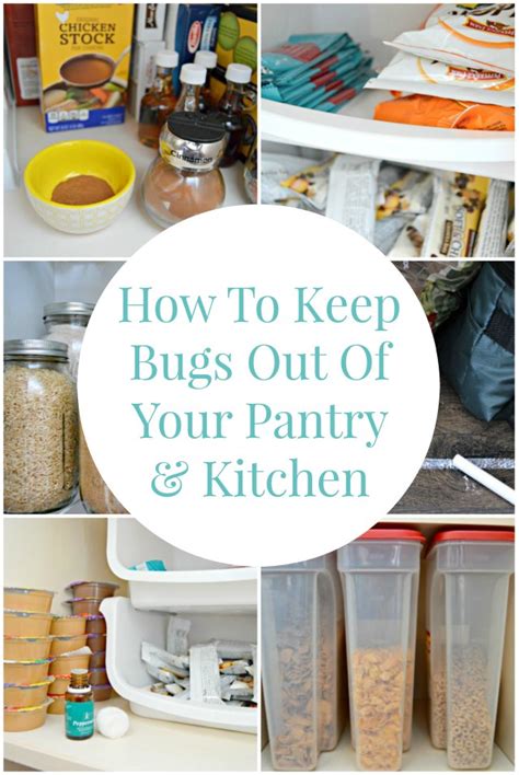 A lot of kitchen cabinet stains are caused by grease splatters from cooking food. How to Keep Bugs Out of Your Pantry and Kitchen | eHow