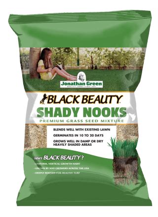 Black Beauty Shady Nooks Grass Seed Jonathan Green